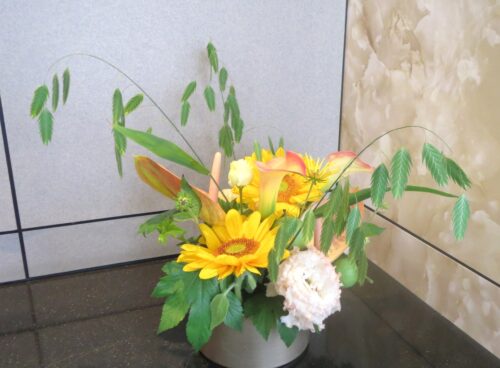 今週のお花
